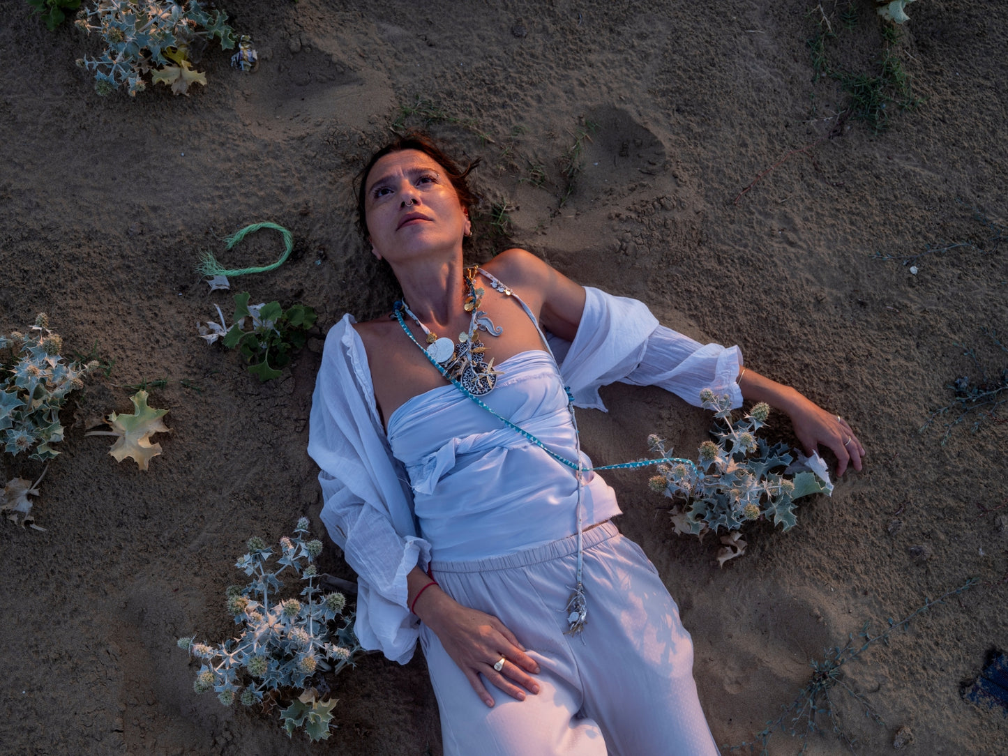 An Island for the Little Frog