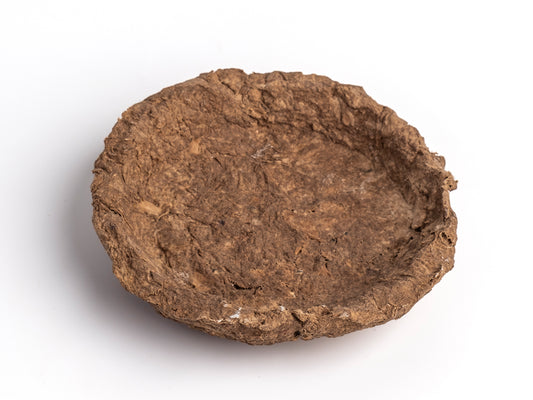 Crunchy SunumTabağı