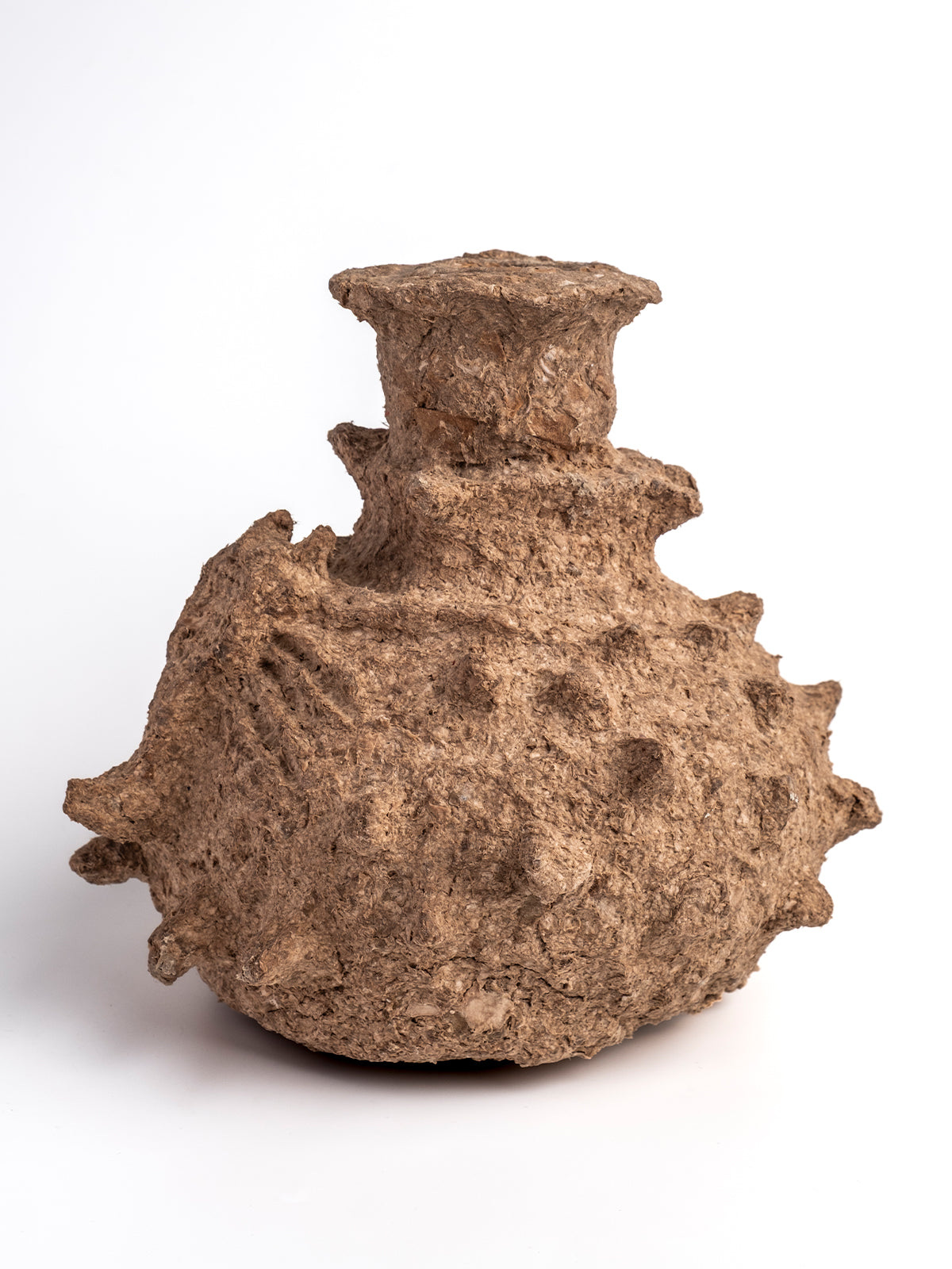 Crunchy Dekoratif Akrep Vazo