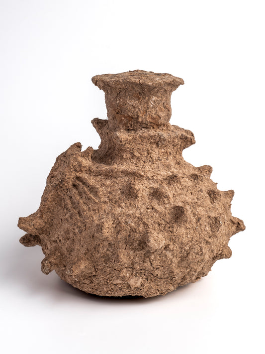 Crunchy Dekoratif Akrep Vazo