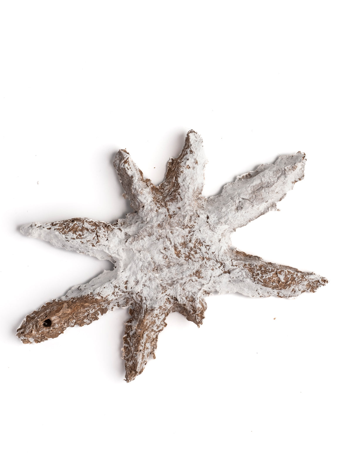 Büyük Beyaz Yıldız